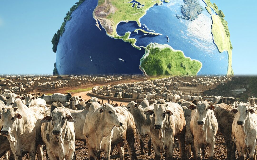 Nutrição inteligente, impacto sustentável: os avanços na pecuária brasileira