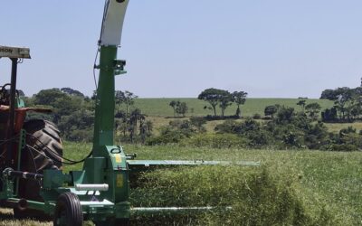 Pré-secado de forragens de inverno: eficiência e tecnologia com o uso de colhedoras