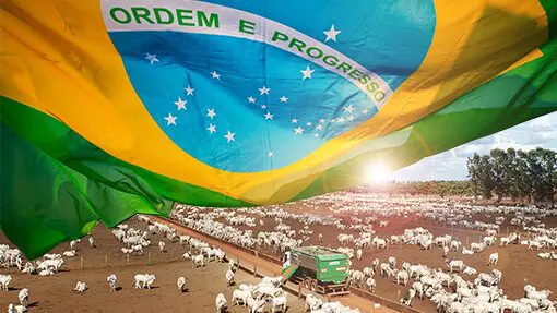 Agro-Agropecuária-Pecuária-Brasileira-Confinamento- bandeira do Brasil