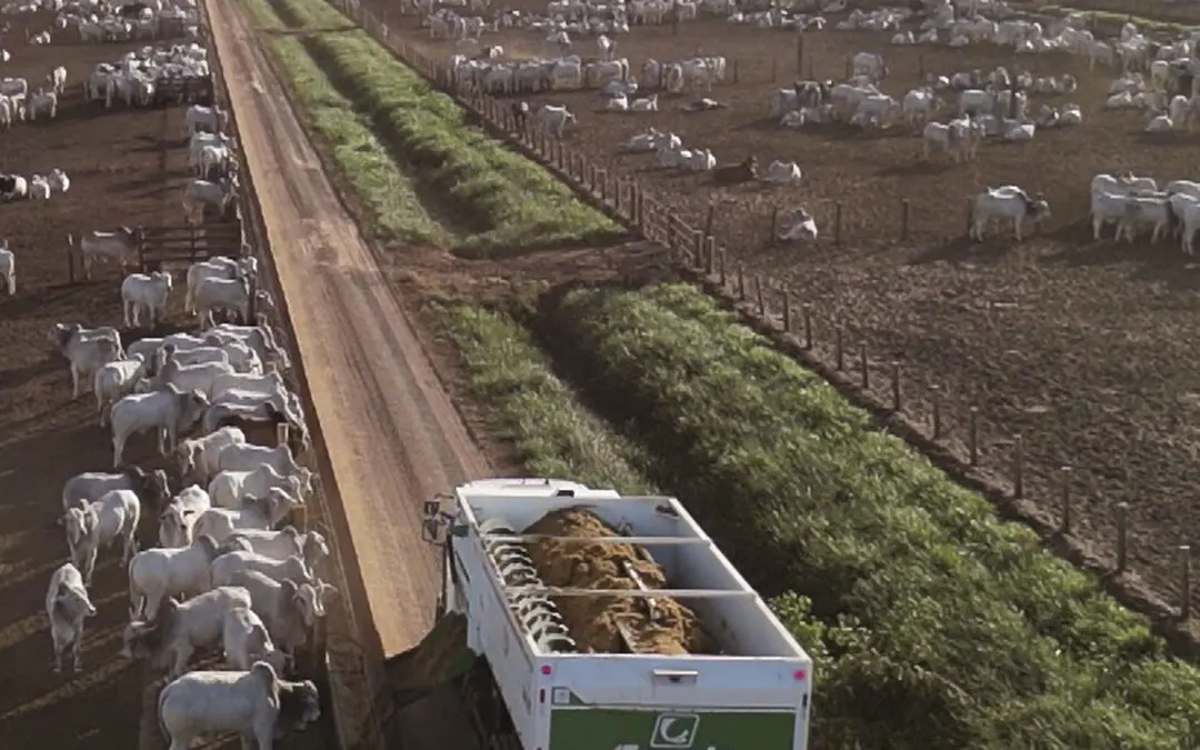 Menos desperdício, mais sustentabilidade: o poder dos vagões misturadores e distribuidores de ração