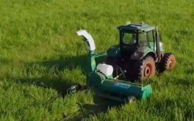 Silagem não começa no silo: começa na decisão certa